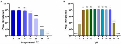 Characterization of the Bacteriophage BUCT603 and Therapeutic Potential Evaluation Against Drug-Resistant Stenotrophomonas maltophilia in a Mouse Model